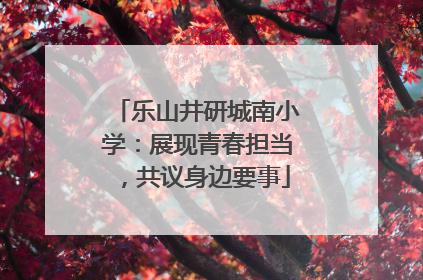 乐山井研城南小学：展现青春担当，共议身边要事