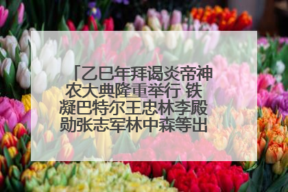 乙巳年拜谒炎帝神农大典隆重举行 铁凝巴特尔王忠林李殿勋张志军林中森等出席 孙伟主持