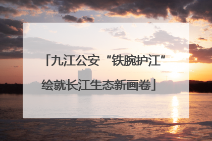九江公安“铁腕护江”绘就长江生态新画卷