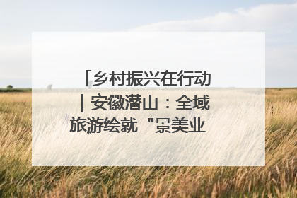 乡村振兴在行动｜安徽潜山：全域旅游绘就“景美业兴民富”新画卷