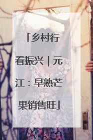 乡村行 看振兴｜元江：早熟芒果销售旺