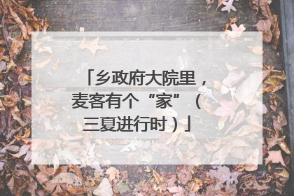 乡政府大院里，麦客有个“家”（三夏进行时）