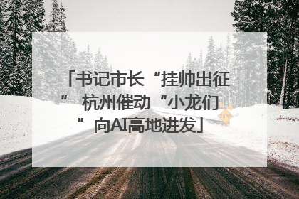 书记市长“挂帅出征” 杭州催动“小龙们”向AI高地进发