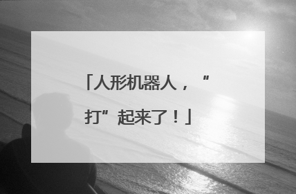 人形机器人，“打”起来了！