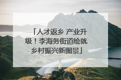 人才返乡 产业升级！李海务街道绘就乡村振兴新图景