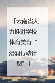云南省大力推进学校体育美育“浸润行动计划”