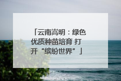 云南嵩明：绿色优质种苗培育 打开“缤纷世界”