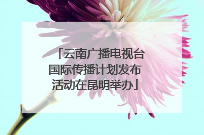 云南广播电视台国际传播计划发布活动在昆明举办