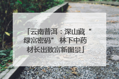 云南普洱：深山藏“绿富密码” 林下中药材长出致富新图景