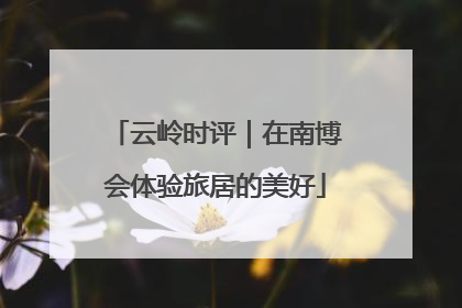 云岭时评｜在南博会体验旅居的美好