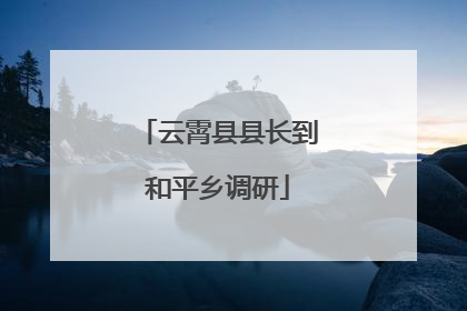 云霄县县长到和平乡调研