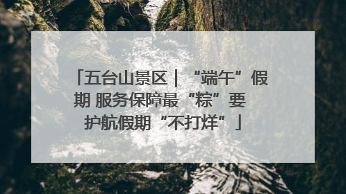 五台山景区｜“端午”假期 服务保障最“粽”要 护航假期“不打烊”