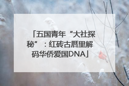五国青年“大社探秘”：红砖古厝里解码华侨爱国DNA