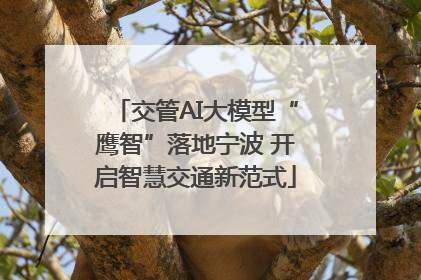 交管AI大模型“鹰智”落地宁波 开启智慧交通新范式