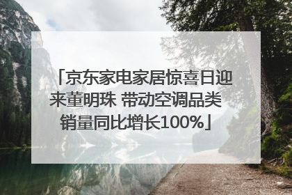 京东家电家居惊喜日迎来董明珠 带动空调品类销量同比增长100%