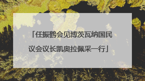 任振鹤会见博茨瓦纳国民议会议长凯奥拉佩采一行