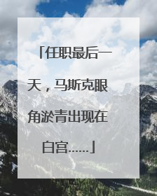 任职最后一天，马斯克眼角淤青出现在白宫……