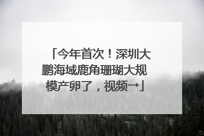 今年首次！深圳大鹏海域鹿角珊瑚大规模产卵了，视频→
