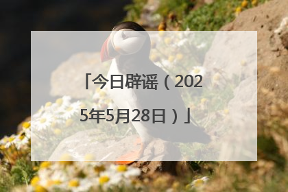 今日辟谣（2025年5月28日）