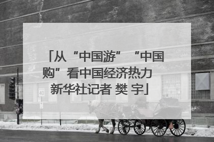 从“中国游”“中国购”看中国经济热力 新华社记者 樊 宇
