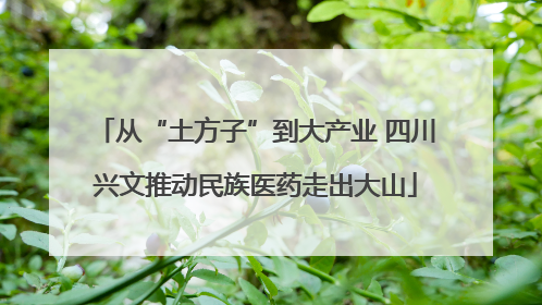 从“土方子”到大产业 四川兴文推动民族医药走出大山