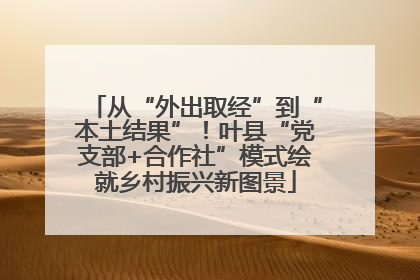 从“外出取经”到“本土结果”！叶县“党支部+合作社”模式绘就乡村振兴新图景