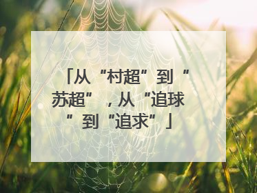从“村超”到“苏超”，从“追球”到“追求”