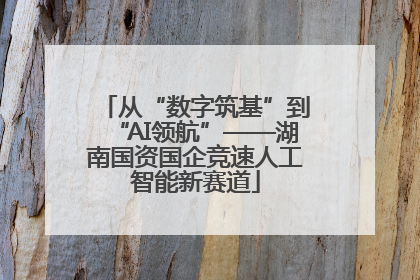 从“数字筑基”到“AI领航”——湖南国资国企竞速人工智能新赛道