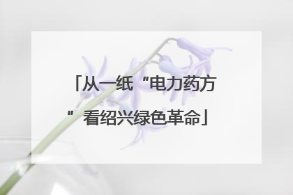 从一纸“电力药方”看绍兴绿色革命