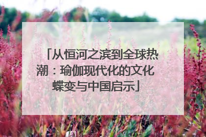 从恒河之滨到全球热潮：瑜伽现代化的文化蝶变与中国启示