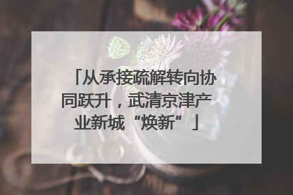 从承接疏解转向协同跃升，武清京津产业新城“焕新”