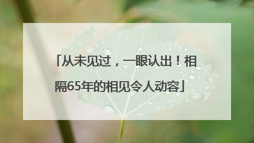 从未见过，一眼认出！相隔65年的相见令人动容
