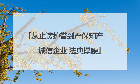 从止谤护誉到严保知产——诚信企业 法典撑腰