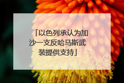 以色列承认为加沙一支反哈马斯武装提供支持