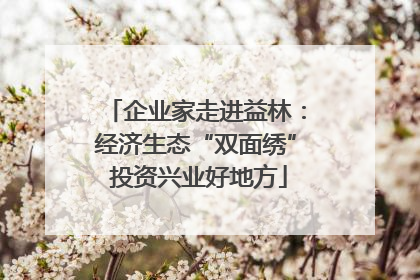 企业家走进益林：经济生态“双面绣” 投资兴业好地方