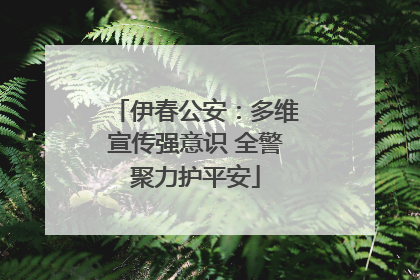 伊春公安：多维宣传强意识 全警聚力护平安