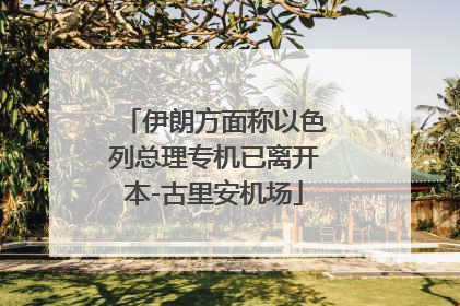 伊朗方面称以色列总理专机已离开本-古里安机场