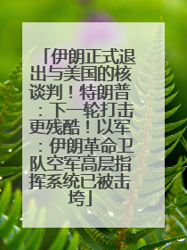 伊朗正式退出与美国的核谈判！特朗普：下一轮打击更残酷！以军：伊朗革命卫队空军高层指挥系统已被击垮