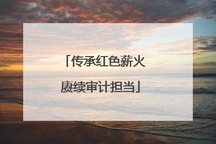 传承红色薪火 赓续审计担当