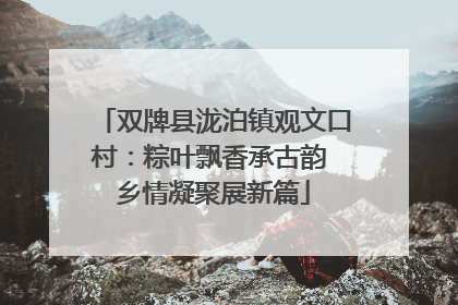 双牌县泷泊镇观文口村：粽叶飘香承古韵 乡情凝聚展新篇