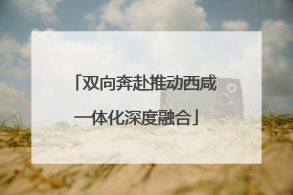 双向奔赴推动西咸一体化深度融合