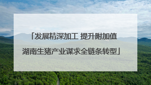 发展精深加工 提升附加值 湖南生猪产业谋求全链条转型