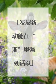 发展新动能在“浙”里强劲活跃