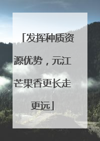 发挥种质资源优势，元江芒果香更长走更远