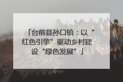台前县孙口镇：以“红色引擎”驱动乡村建设“绿色发展”