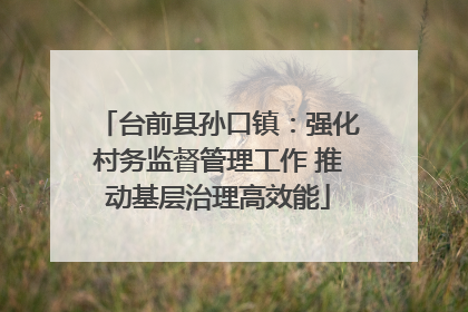 台前县孙口镇：强化村务监督管理工作 推动基层治理高效能