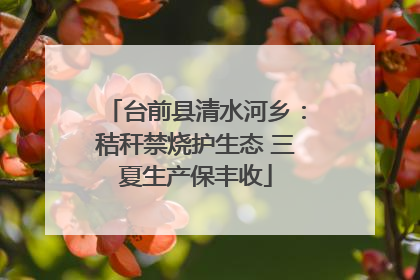 台前县清水河乡：秸秆禁烧护生态 三夏生产保丰收