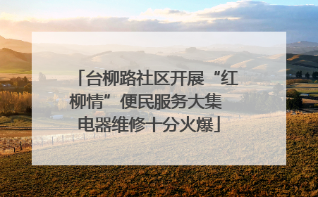 台柳路社区开展“红柳情”便民服务大集 电器维修十分火爆