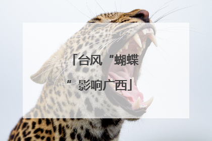 台风“蝴蝶”影响广西
