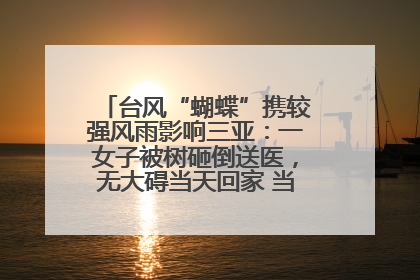 台风“蝴蝶”携较强风雨影响三亚：一女子被树砸倒送医，无大碍当天回家 当地已紧急清障